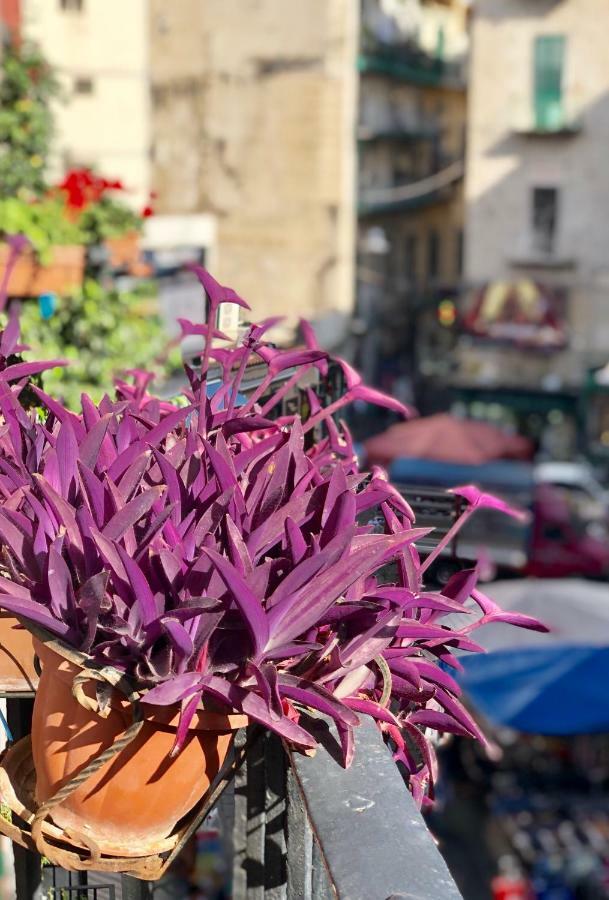 Il Sole Di Montesanto * Naples